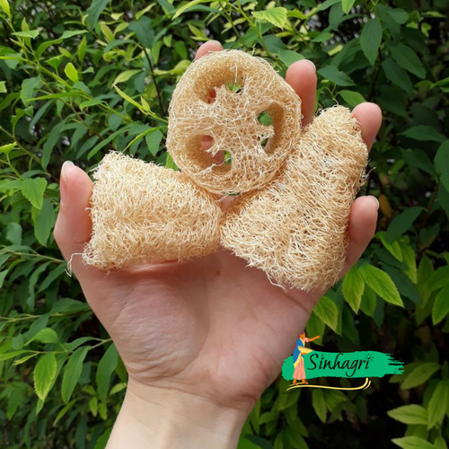 Luffa